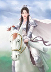 金牌特工在明朝